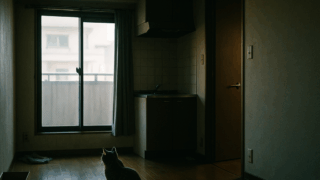 Thumbnail of post image 183
