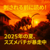 Thumbnail of new posts 096