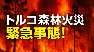 Thumbnail of post image 012
