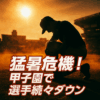 Thumbnail of new posts 172