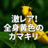 Thumbnail of new posts 134