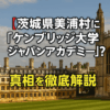 Thumbnail of new posts 155