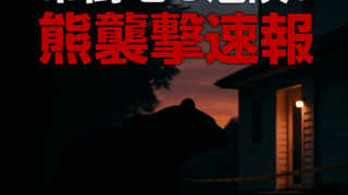 Thumbnail of post image 130