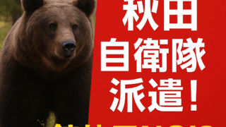 Thumbnail of post image 098