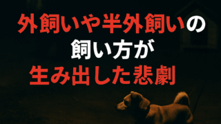 Thumbnail of post image 161