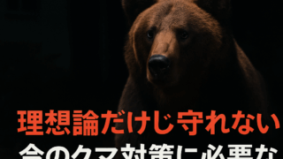 Thumbnail of post image 048