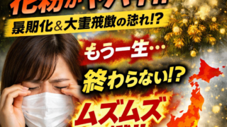 Thumbnail of post image 028