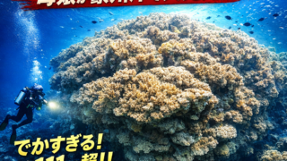 Thumbnail of post image 136