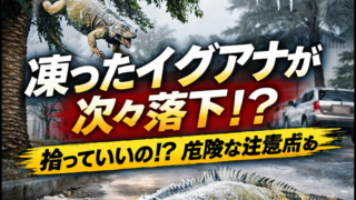 Thumbnail of post image 097