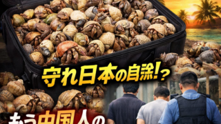 Thumbnail of post image 098