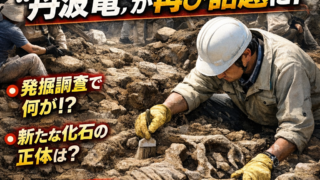 Thumbnail of post image 086