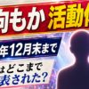 【話題】日向もか活動休止なぜ?理由と期間・今後を整理